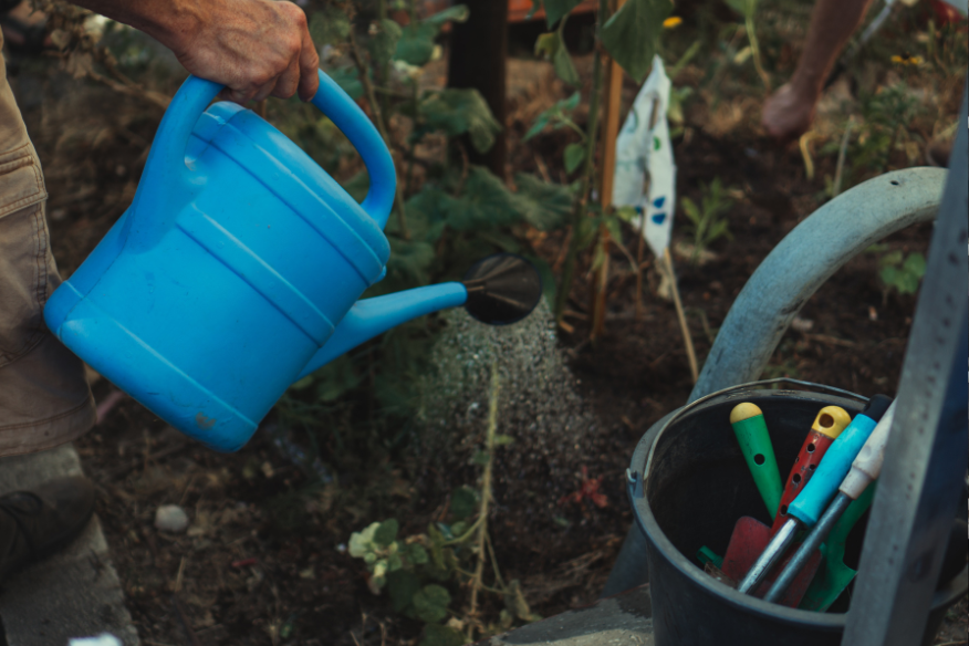 10 Natural Ways to Banish Weeds Without Chemicals